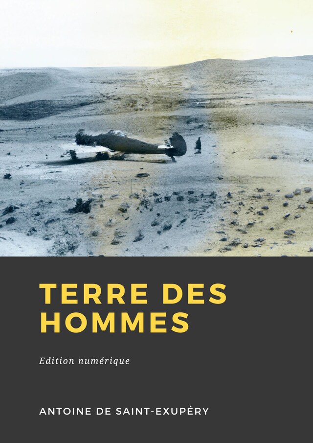 Buchcover für Terre des hommes