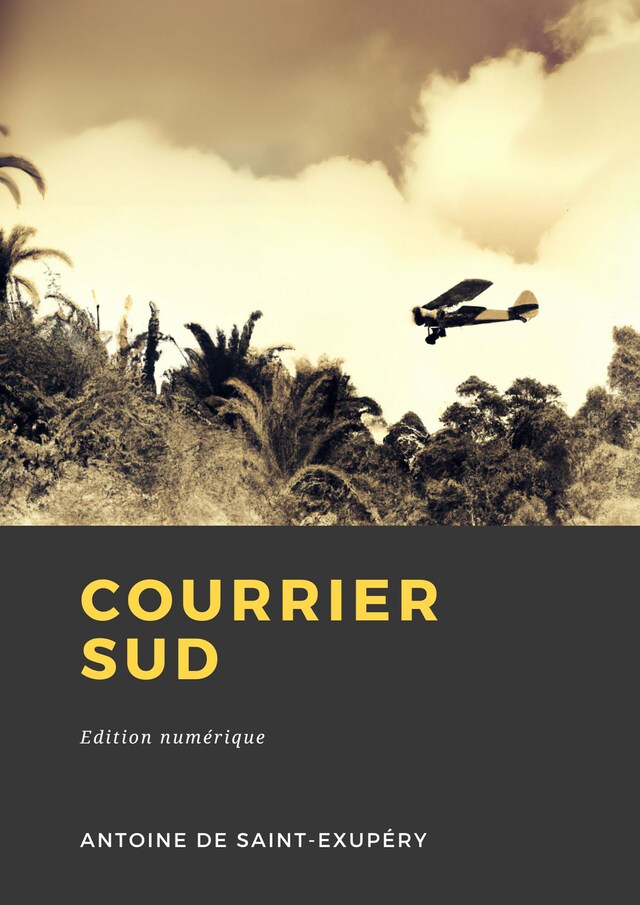 Buchcover für Courrier Sud