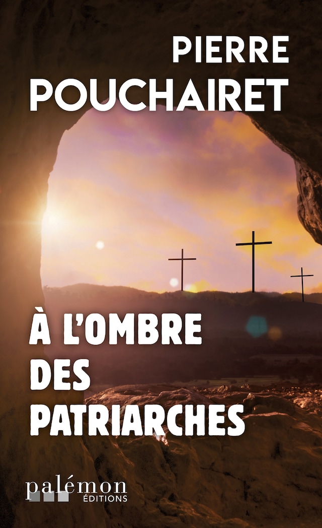 Book cover for À l'ombre des patriarches