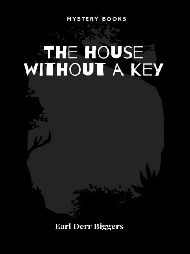 Book cover for The house without a key