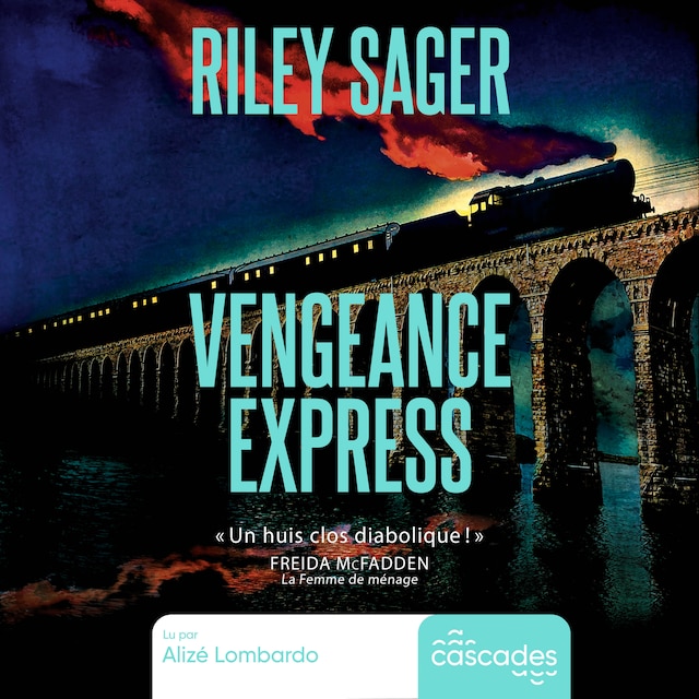 Book cover for Vengeance express