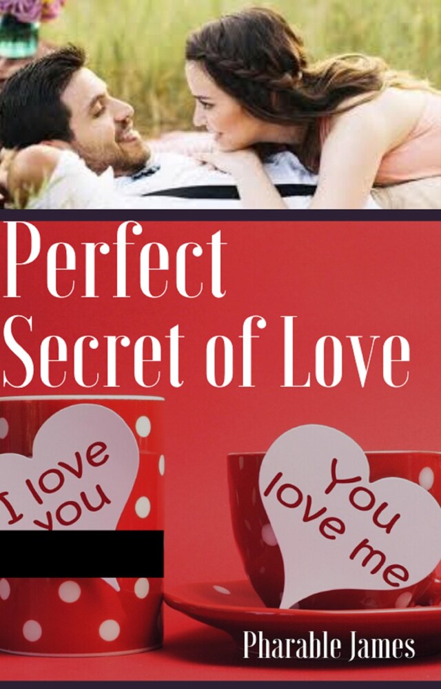 Bogomslag for Perfect secret of love