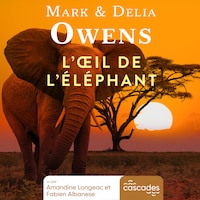 L'œil de l'éléphant