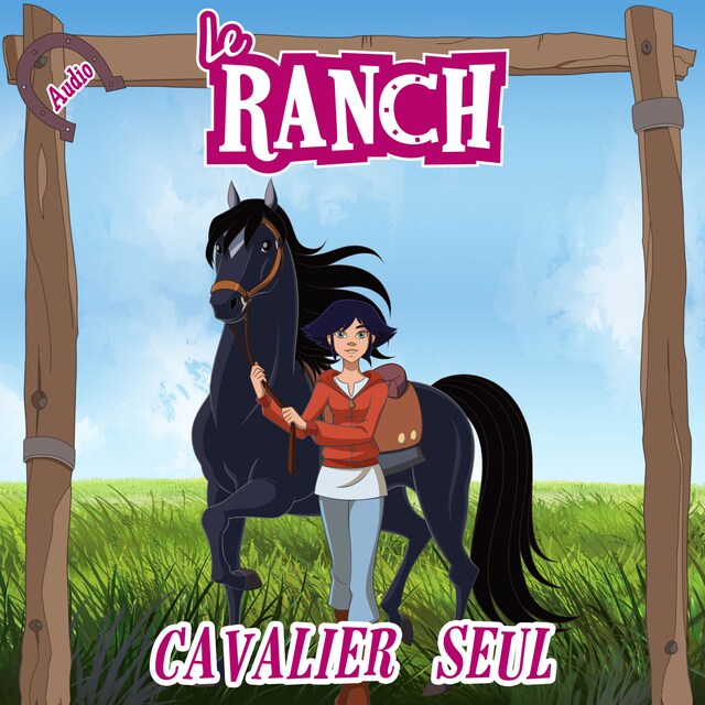 Book cover for Cavalier seul