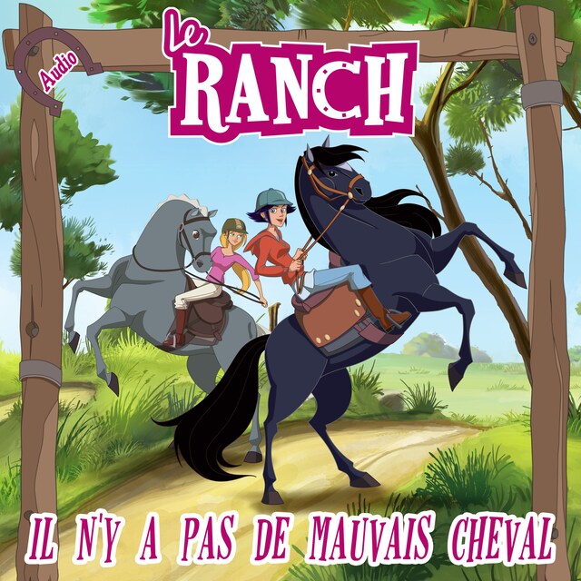 Copertina del libro per Il n'y a pas de mauvais cheval