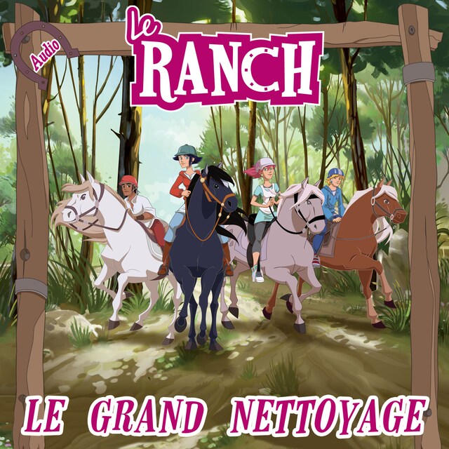 Book cover for Le grand nettoyage