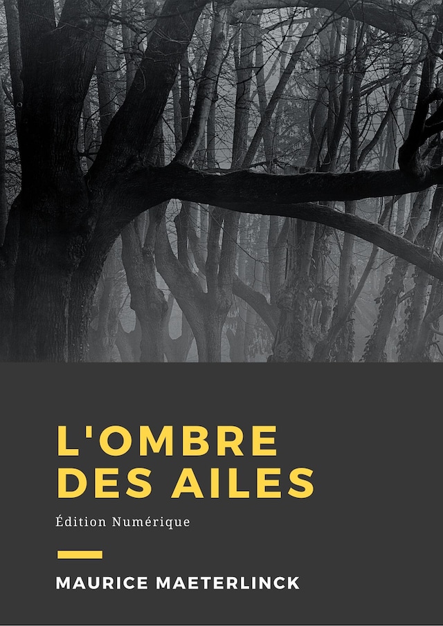 Book cover for L'ombre des ailes