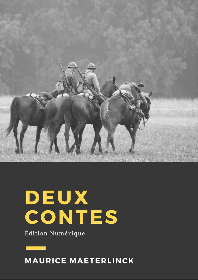 Book cover for Deux contes