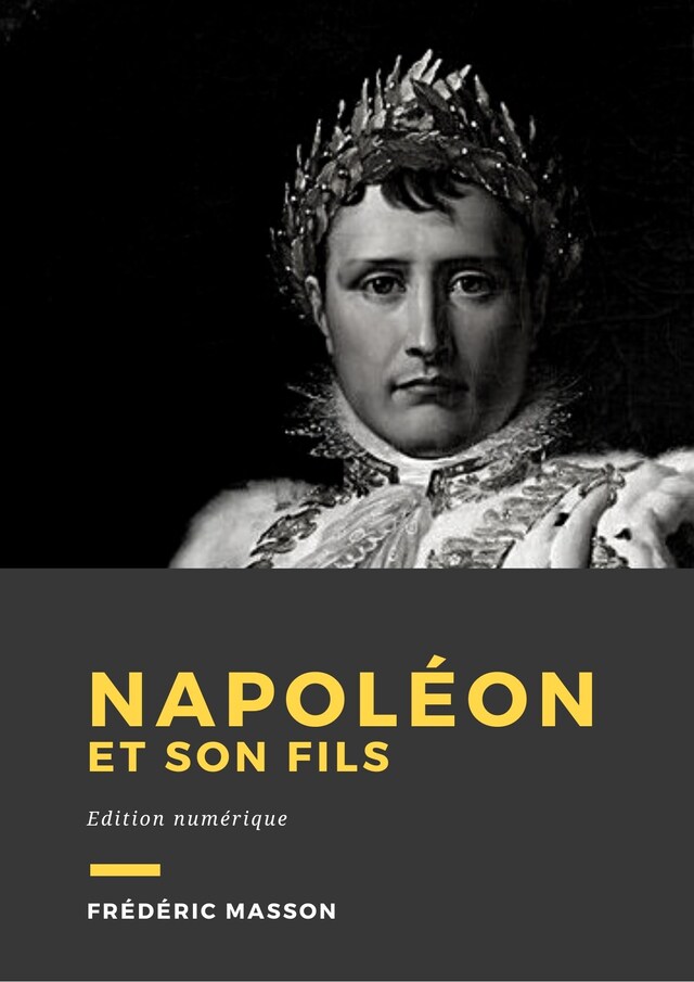 Copertina del libro per Napoléon et son fils