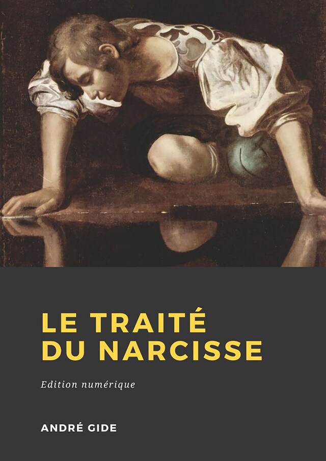 Kirjankansi teokselle Le Traité du Narcisse