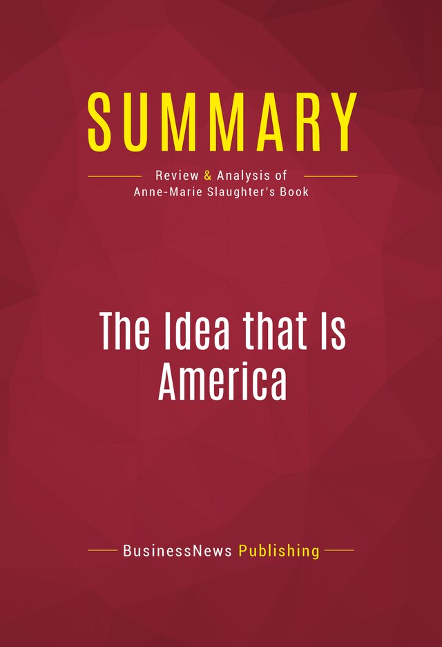 Boekomslag van Summary: The Idea that Is America