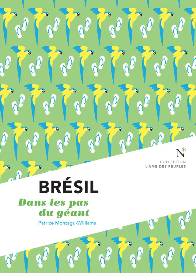 Portada de libro para Brésil : Dans les pas du géant