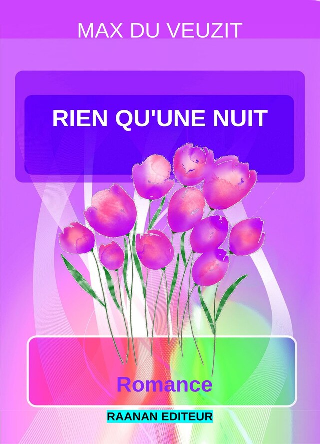 Book cover for Rien qu'une nuit