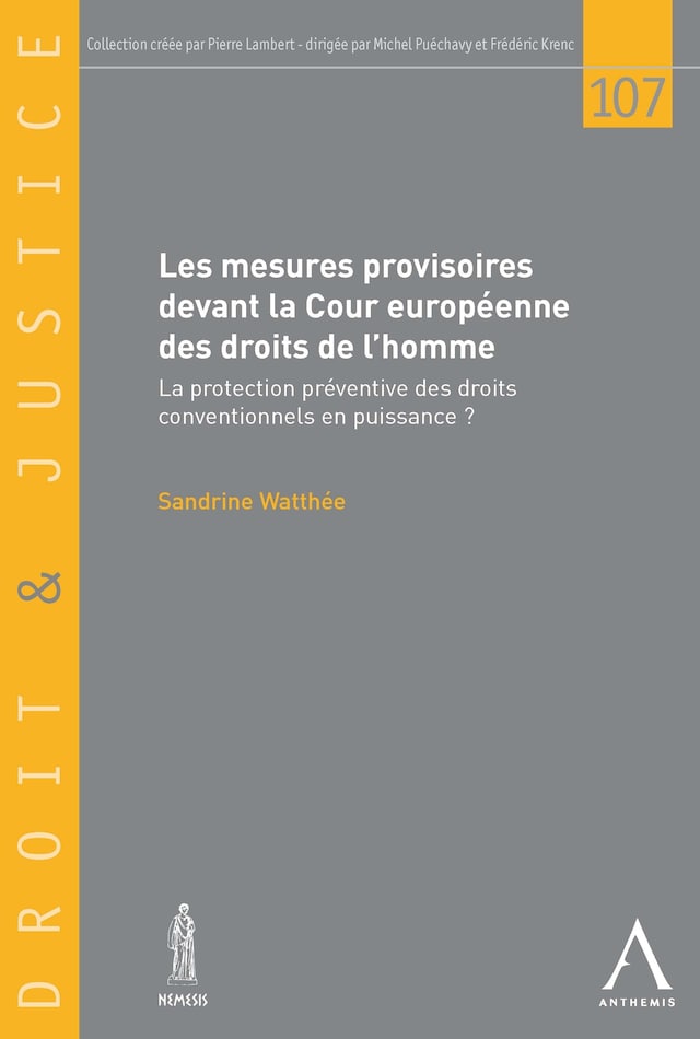 Book cover for Les mesures provisoires devant la Cour européenne des droits de l'homme