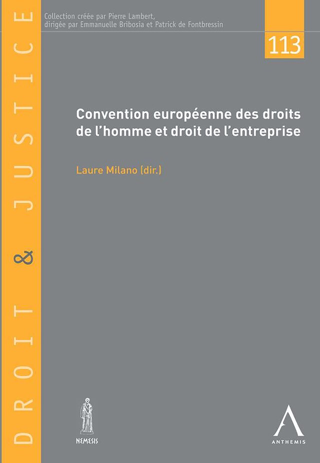 Kirjankansi teokselle Convention européenne des droits de l'homme et droit de l'entreprise