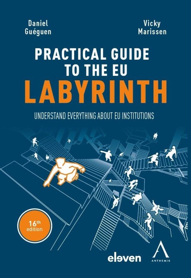 Boekomslag van The practical guide to the eu labyrinth