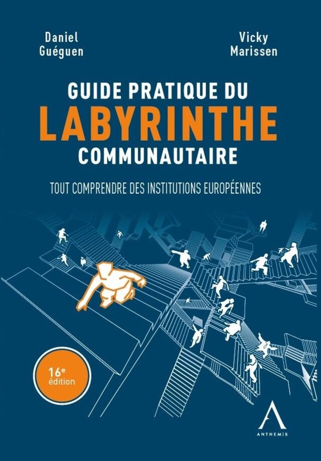 Book cover for Guide pratique du labyrinthe communautaire