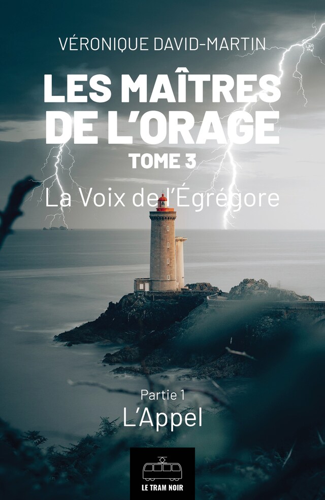 Buchcover für Les Maîtres de l'orage - Tome 3 : Partie 1