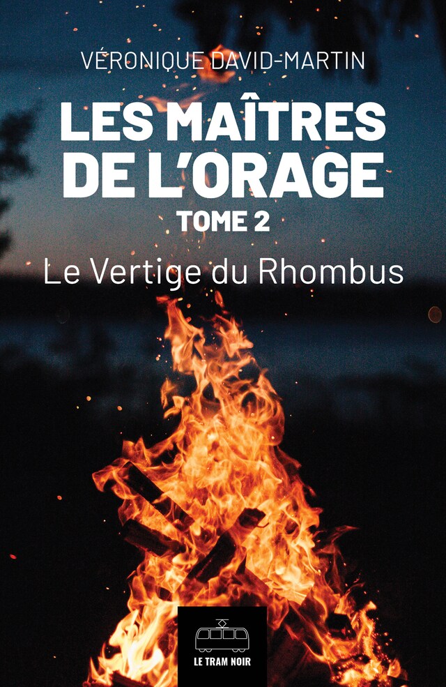 Book cover for Les Maîtres de l'orage - Tome 2