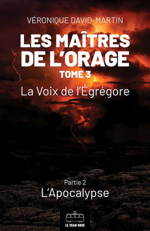 Book cover for Les Maîtres de l'orage - Tome 3 : Partie 2