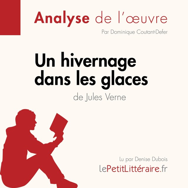 Buchcover für Un hivernage dans les glaces de Jules Verne (Fiche de lecture)