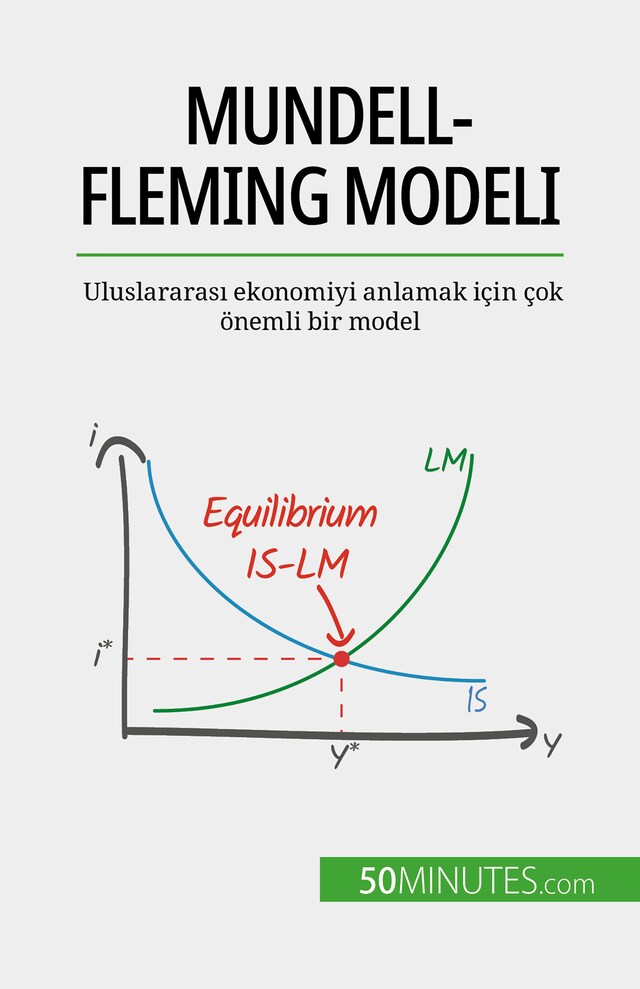 Buchcover für Mundell-Fleming modeli