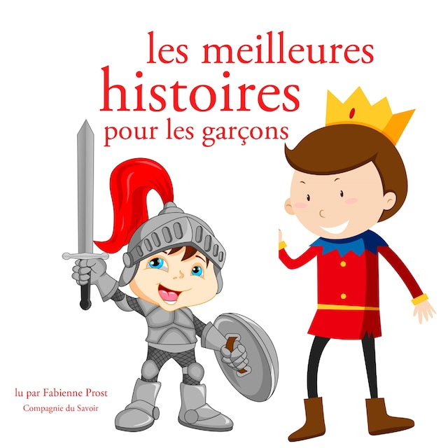 Copertina del libro per Les Meilleures Histoires pour les garcons