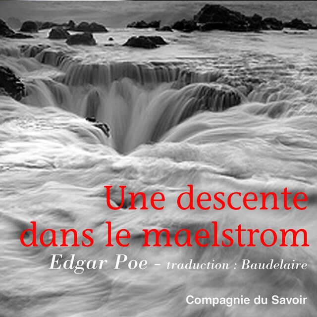 Book cover for Une descente dans le Maelstrom