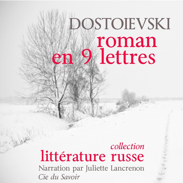 Book cover for Un roman en neuf lettres