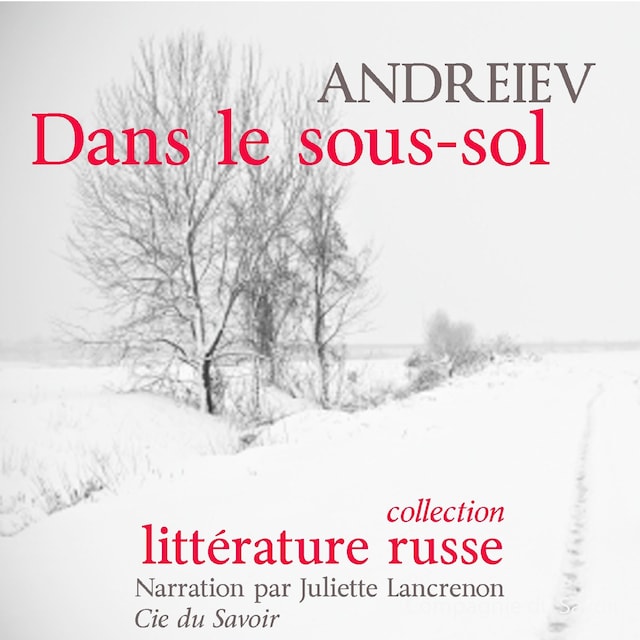 Book cover for Dans le sous-sol