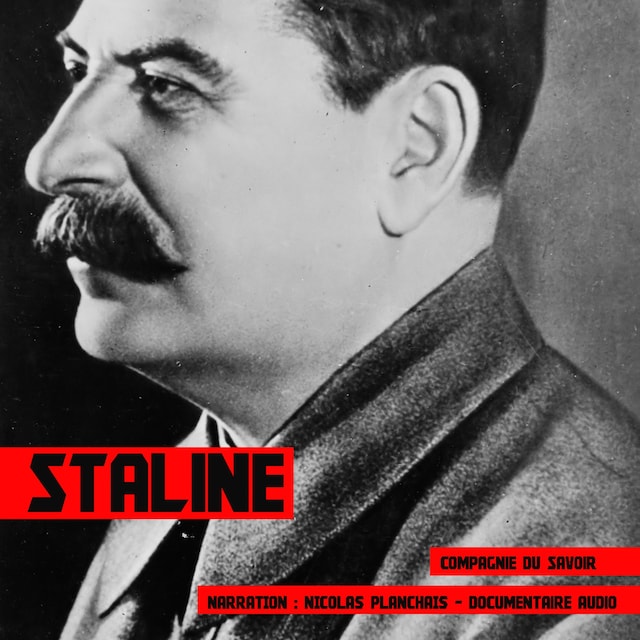 Bokomslag for Staline, une biographie