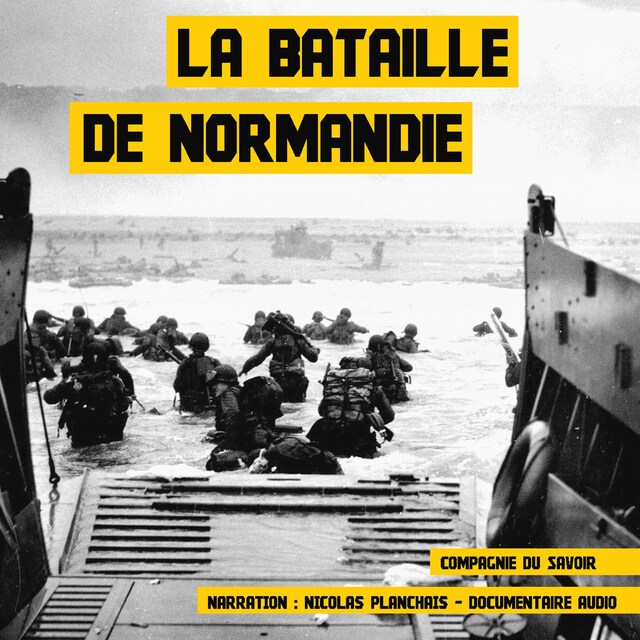 Couverture de livre pour La Bataille de Normandie
