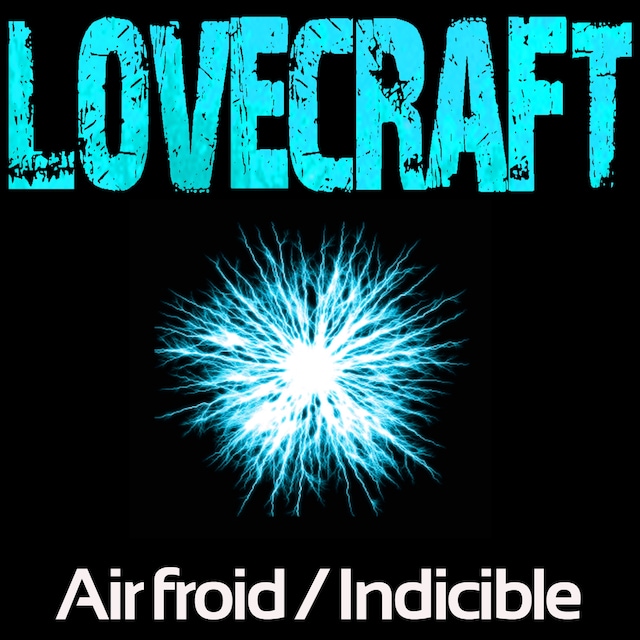 Book cover for Indicible / Air Froid