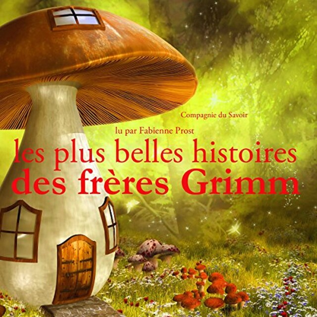 Copertina del libro per Les Plus Belles Histoires des frères Grimm