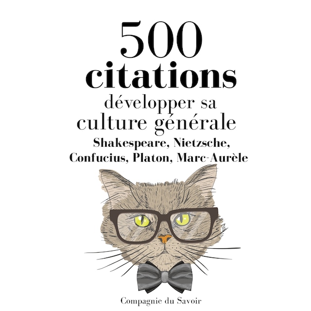 Book cover for Développer sa culture générale en 500 citations