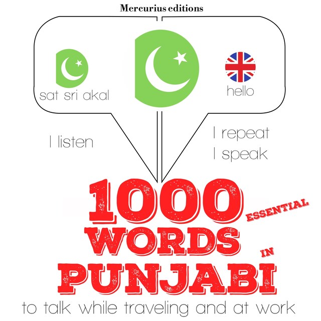 Book cover for 1000 essential words in Punjabi