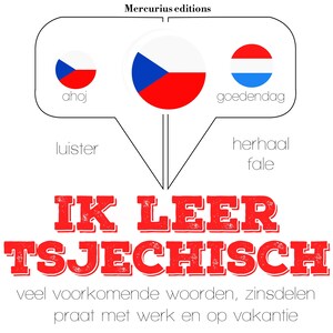 Ik leer Tsjechisch - luisterboek