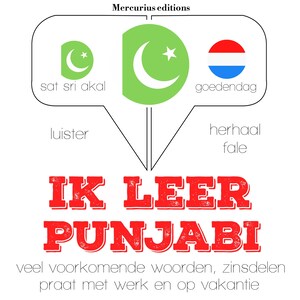 Ik leer Punjabi - luisterboek