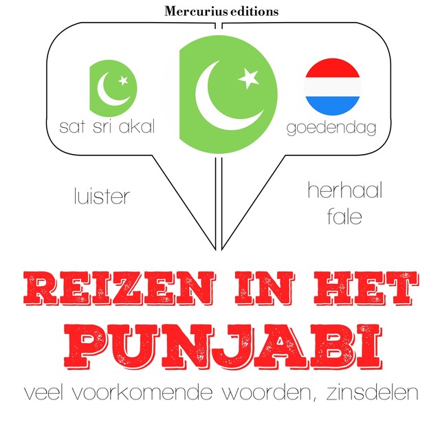 Buchcover für Reizen in het Punjabi