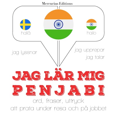 Jag undervisar penjabi