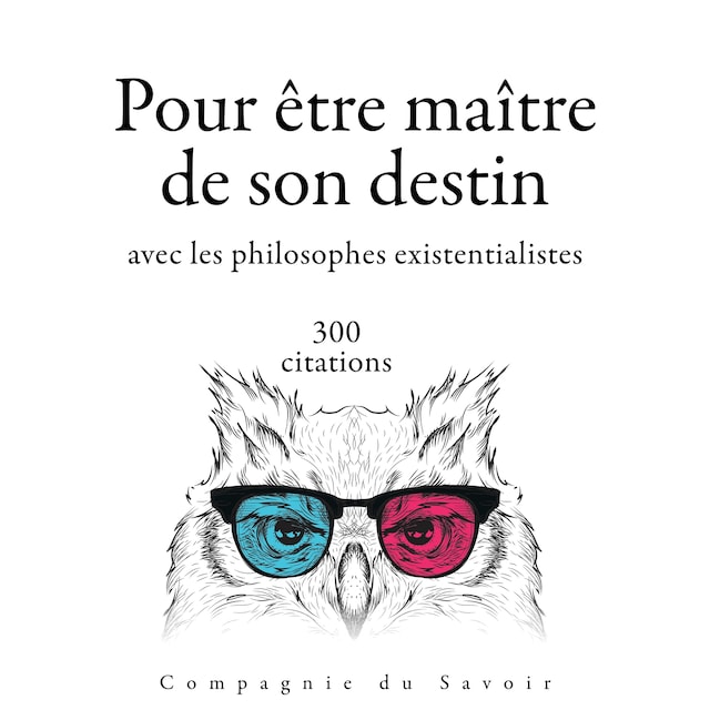 Boekomslag van 300 citations pour être maitre de son destin avec les philosophes existentialistes