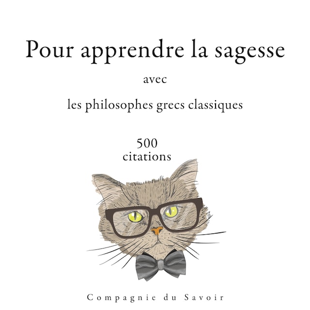 Book cover for 500 citations pour apprendre la sagesse avec les philosophes grecs classiques