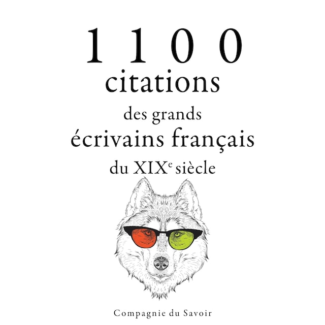 Book cover for 1100 citations des grands écrivains français du XIXe siècle