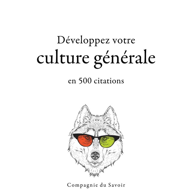 Kirjankansi teokselle Développez votre culture générale en 500 citations