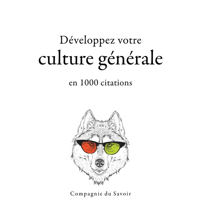 Kirjankansi teokselle Développez votre culture générale en 1000 citations