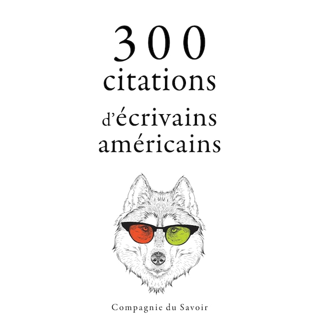 Kirjankansi teokselle 300 citations d'écrivains américains