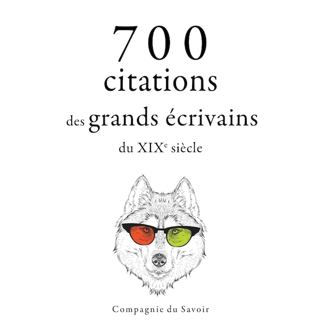 Boekomslag van 700 citations des grands écrivains du XIXe siècle