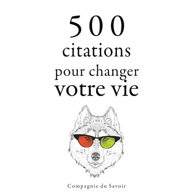 Book cover for 500 citations pour changer votre vie
