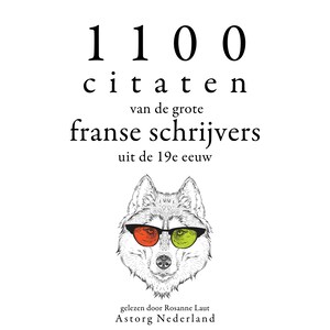1100 citaten van de grote Franse schrijvers uit de 19e eeuw - luisterboek