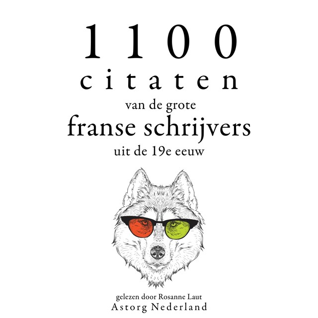 Book cover for 1100 citaten van de grote Franse schrijvers uit de 19e eeuw